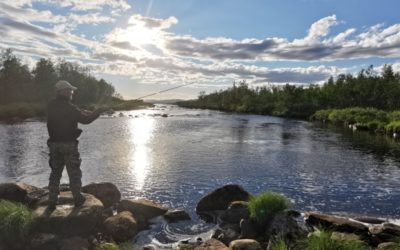 Pêche en Laponie suèdoise